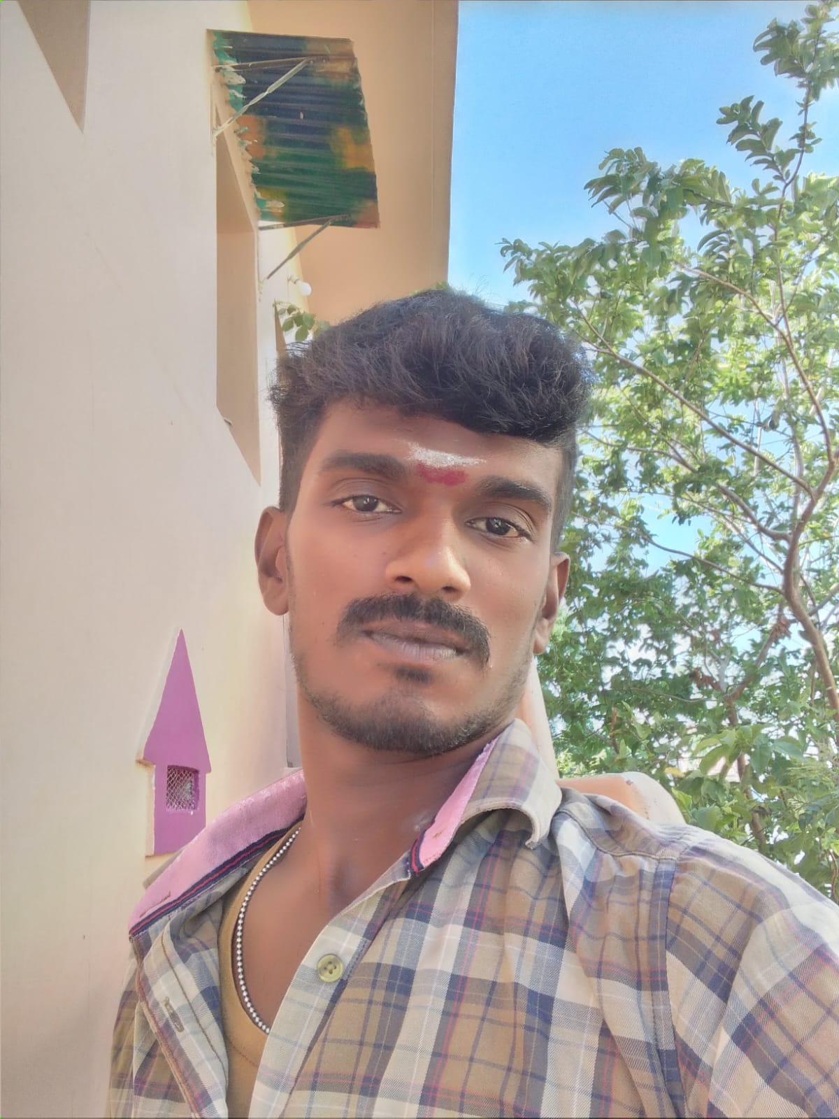 Groom Image